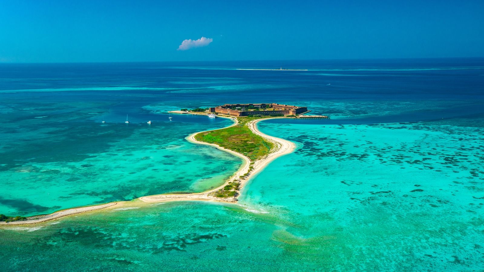 Dry Tortugas Snorkeling - Dry Tortugas And Fort Jefferson National Park