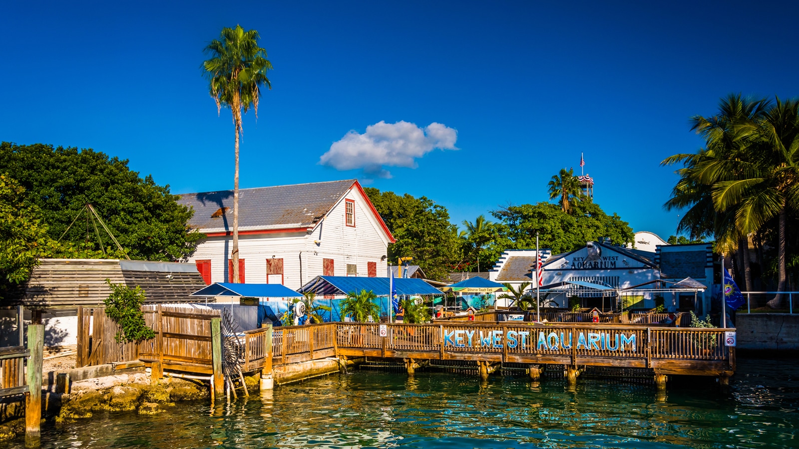 December In Key West - The Key West Aquarium